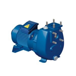Bơm ly tâm tự mồi chạy điện RB212