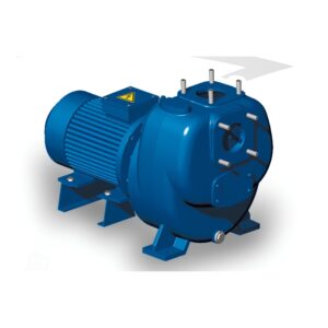 Bơm ly tâm tự mồi chạy điện RB216